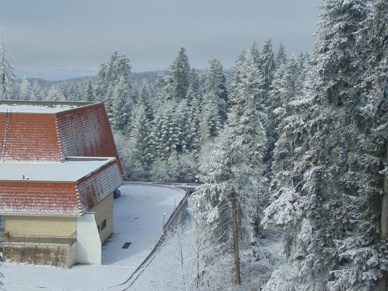 בורובץ Ski Apartment Boyika Iglika 2 מראה חיצוני תמונה
