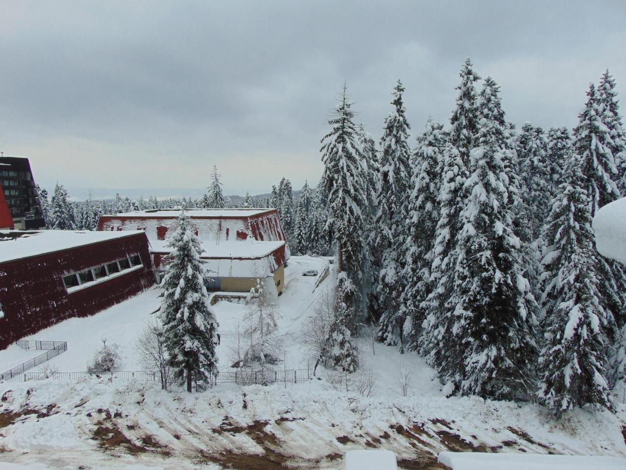 בורובץ Ski Apartment Boyika Iglika 2 מראה חיצוני תמונה
